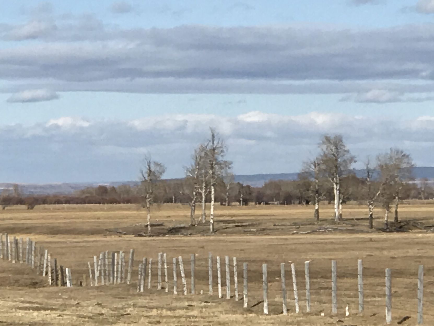 Dry November Days